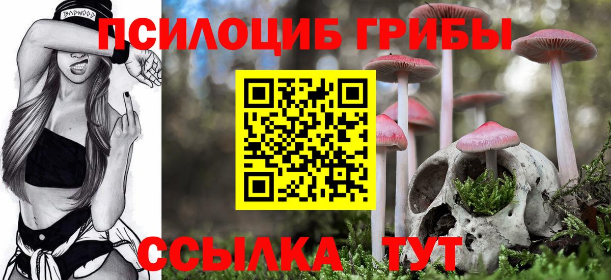 Галлюциногенные грибы Psilocybe Железноводск