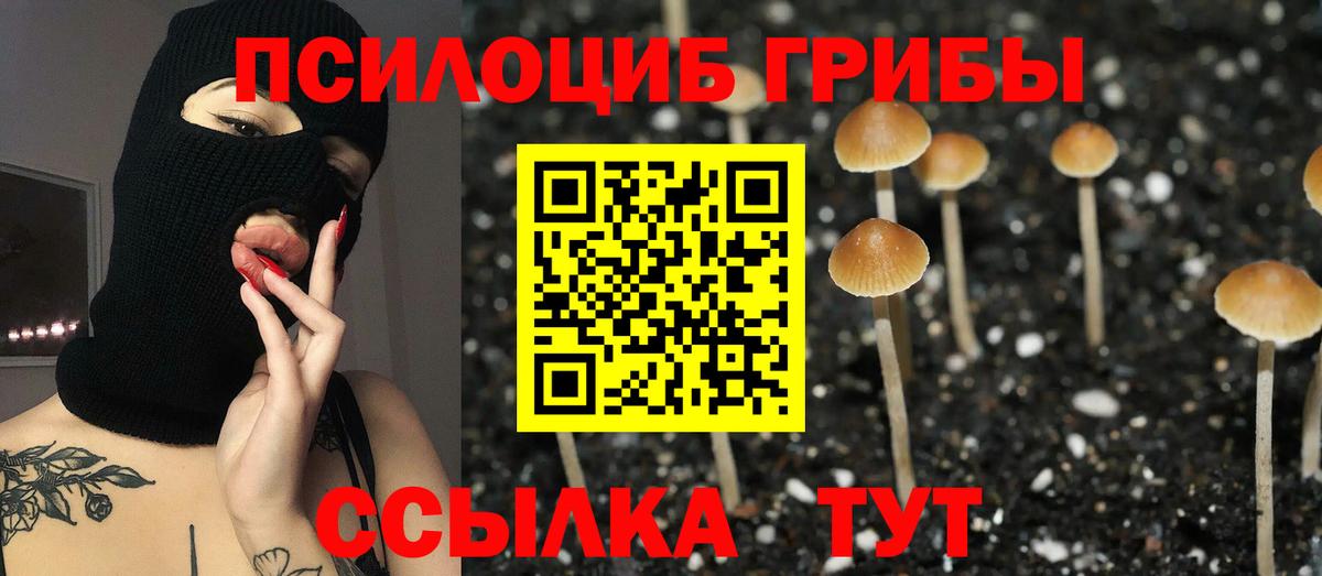 Железноводск  Галлюциногенные грибы мицелий  Вход с VPN 