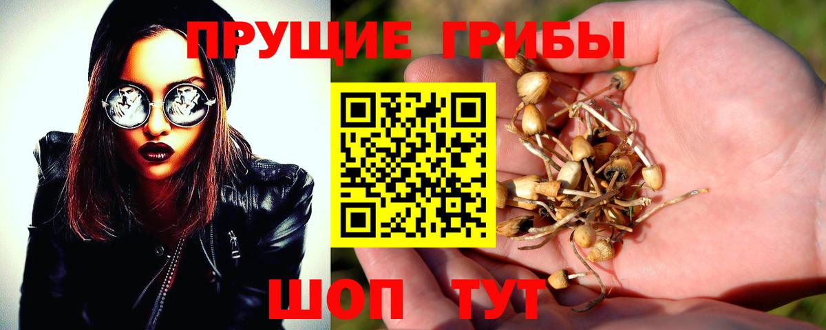 Альфа ПВП Железноводск
